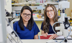 Reproductive Services