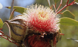 What is the purpose of this project?