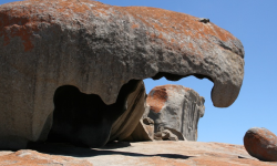 Your privacy and confidentiality