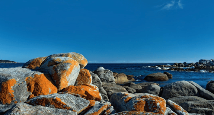 Who is responsible for this project?