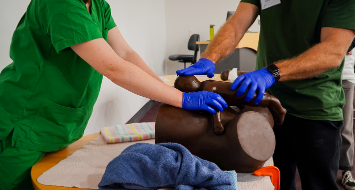 Emergency Birth Program – clinical education