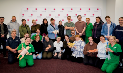 Partnership Programs - MSEP