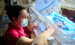 Postgraduate Neonatal Education