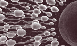 Sperm Preservation Clinic