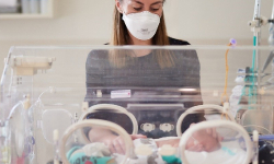 Cool Topics in Neonatology 2026