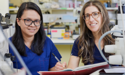 Research Report 2024