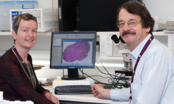 Gynaecology research